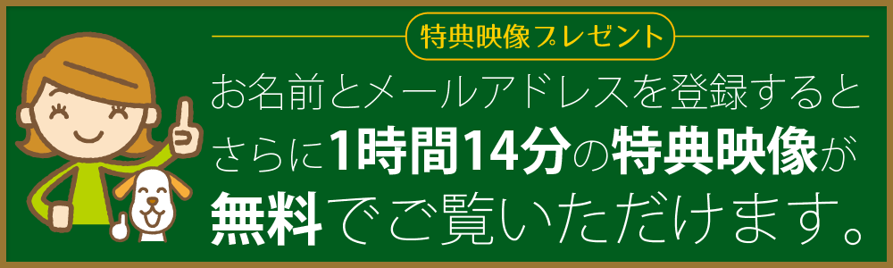 ゼロカブコムー無料映像 株の学校 超入門